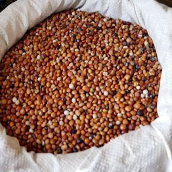 Feijão Bongolon 1kg